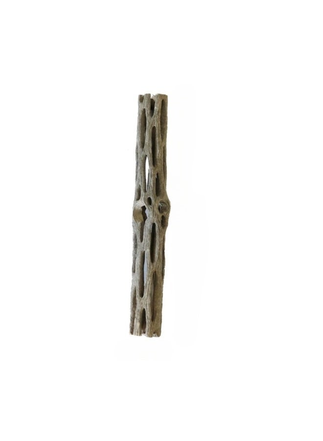 Natural Cholla Wood for Aquarium Decoration Shrimp and Fish Tank - (6 Inch) - Image 1